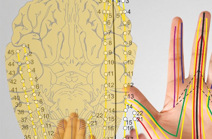 MASTER I KOREANSK NEURO HÅNDZONE- OG REFLEKSTERAPI 